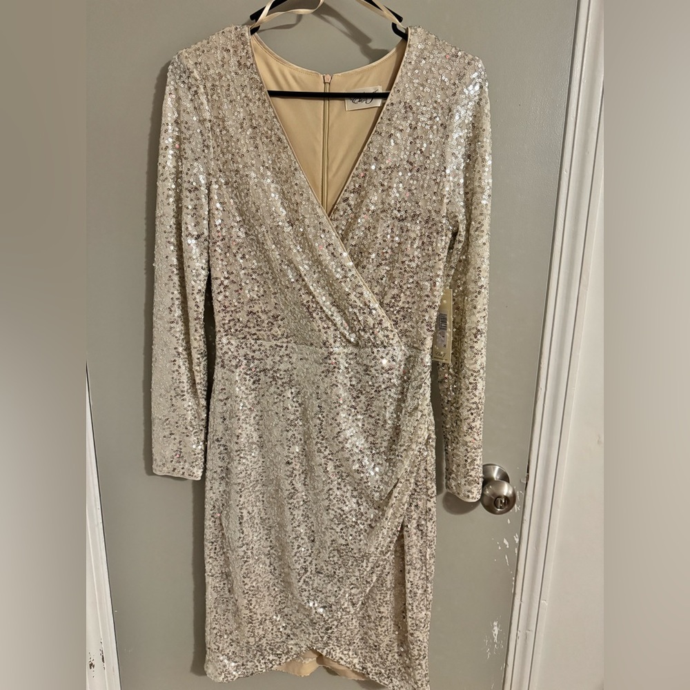 Sparkly Dress NWT